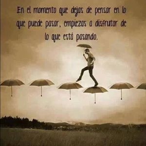 Meet your Posher, Haydee